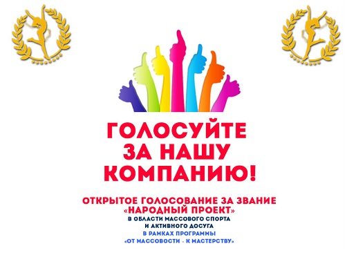 Приглашаем Вас проголосовать за Молодежную хоккейную лигу!